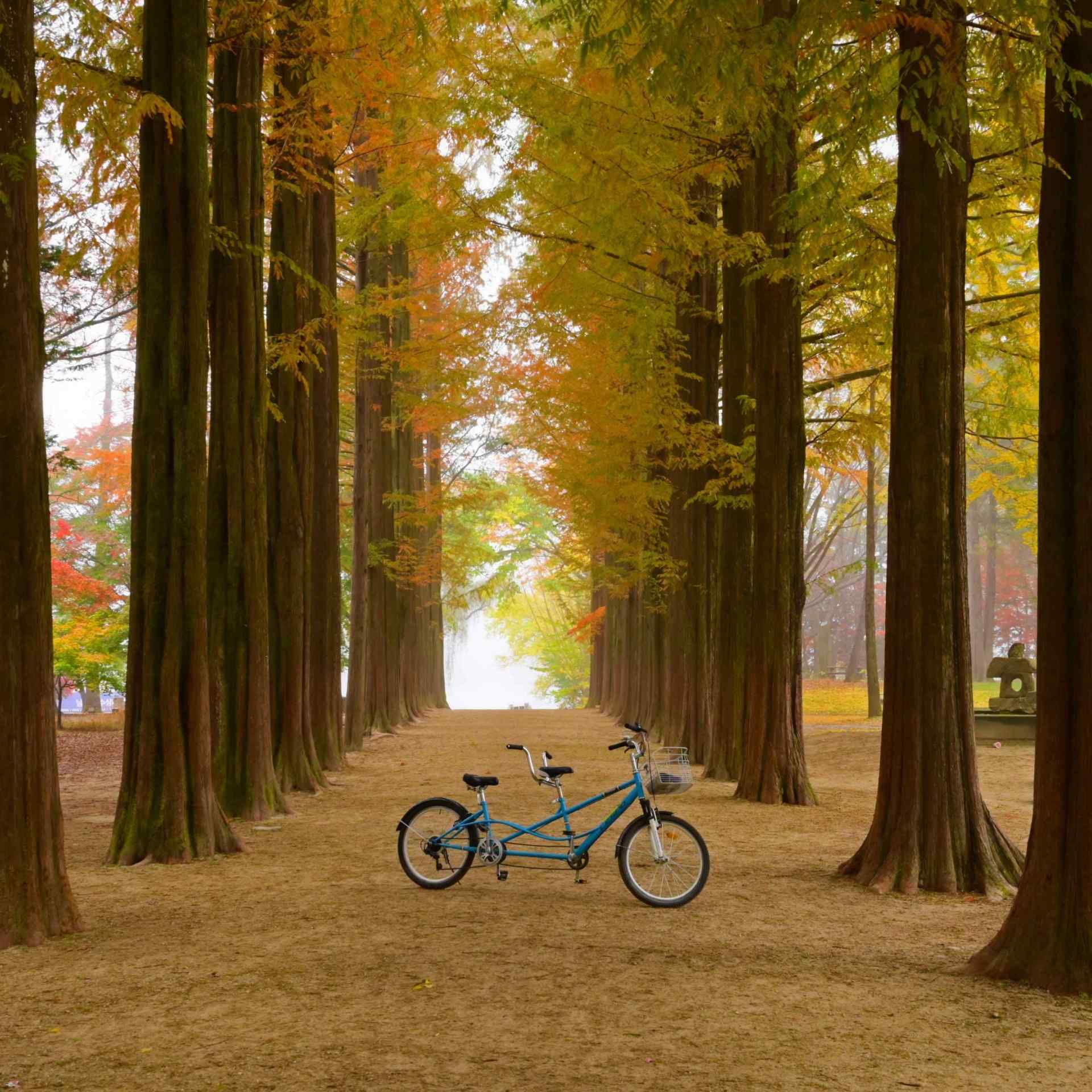 Nami Island Admission & Bicycle Rental Package (Two per person)